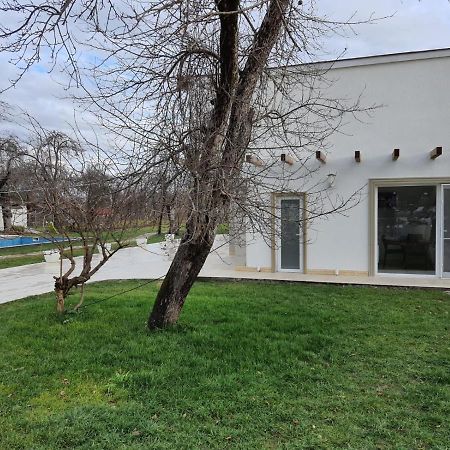 Pensiunea Groza Târgu Jiu Exterior photo